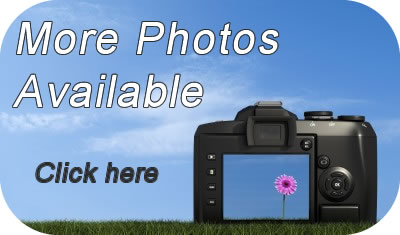 Book Chywartha online